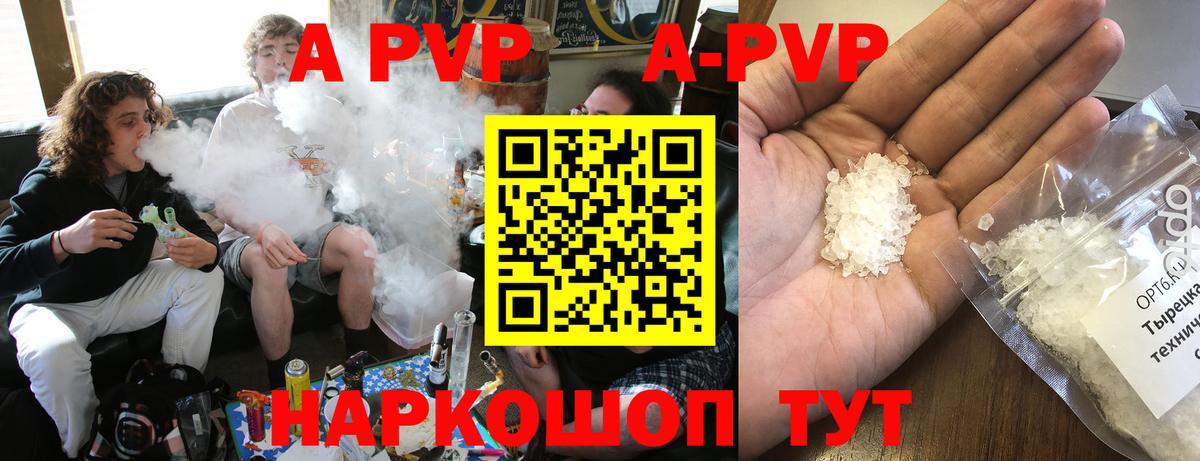 Alfa_PVP СК Пенза