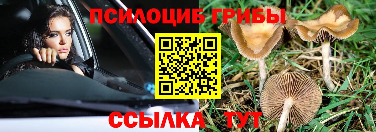 Псилоцибиновые грибы мухоморы  Вход с VPN  Галлюциногенные грибы мицелий  Пенза 