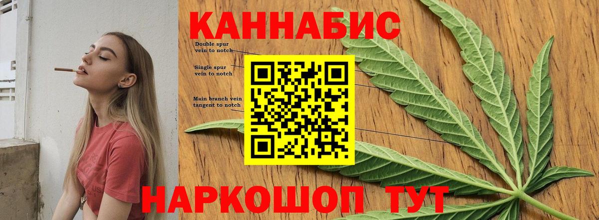 Каннабис OG Kush Пенза